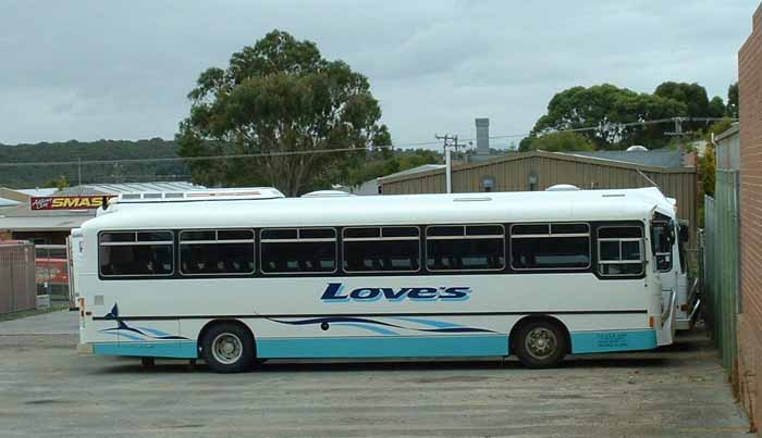 Love's Hino Austral Domino